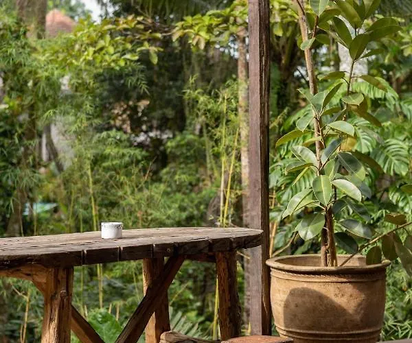 Casa Pohon Villa Ubud