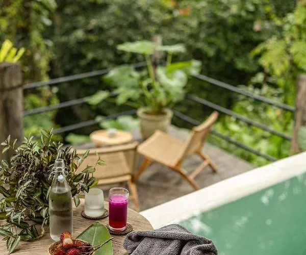 Casa Pohon Villa