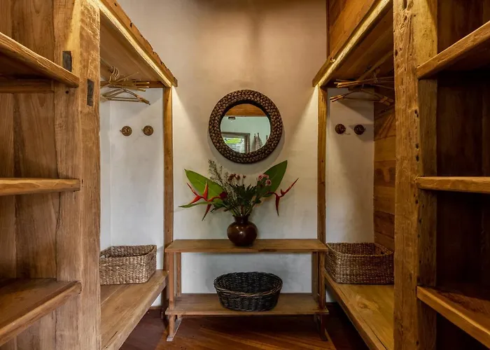Casa Pohon