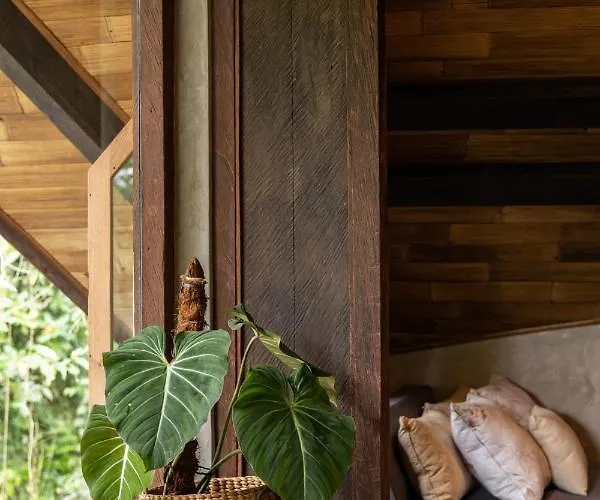 Casa Pohon Villa Ubud