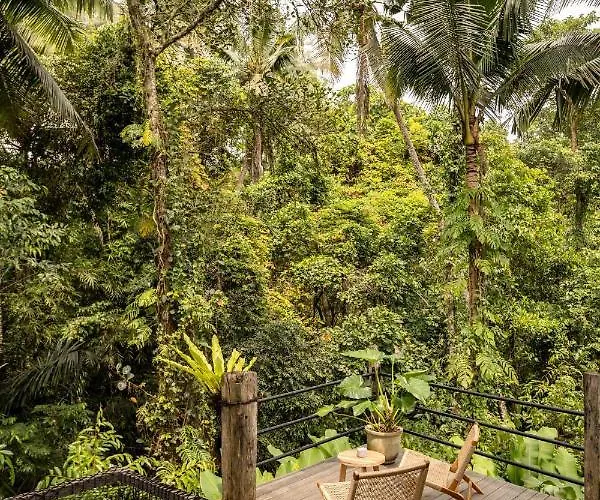 Casa Pohon Ubud