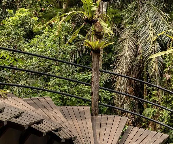 Casa Pohon Villa Ubud