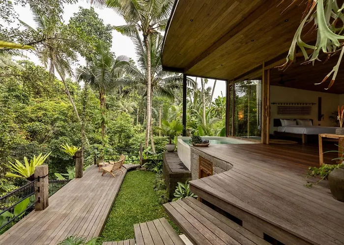 Casa Pohon