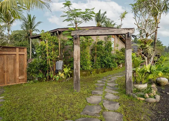 Villa Casa Pohon *