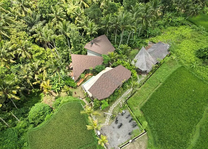Casa Pohon Villa Ubud