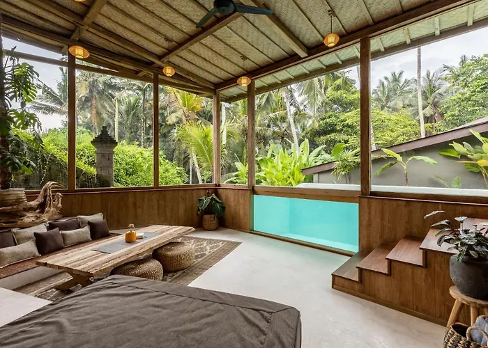 Casa Pohon *