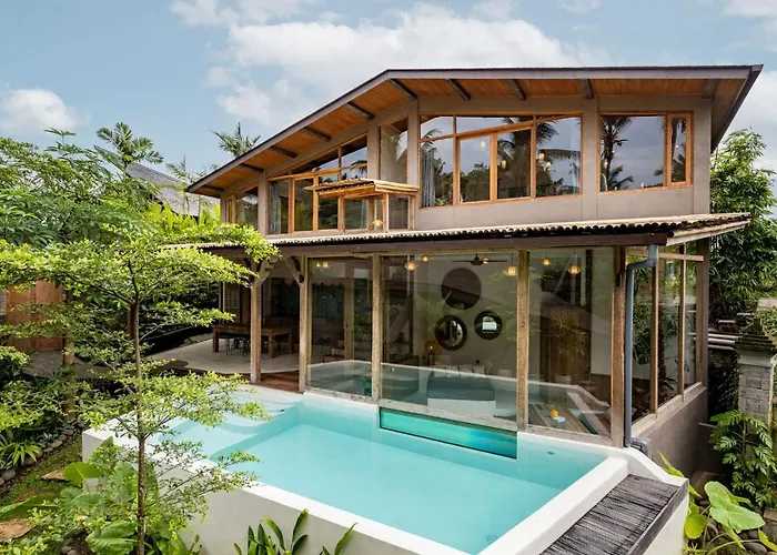 Casa Pohon