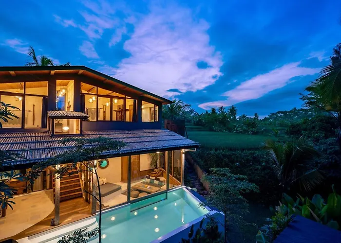 Casa Pohon *