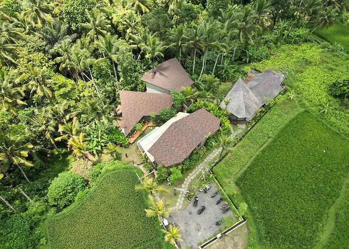 Casa Pohon