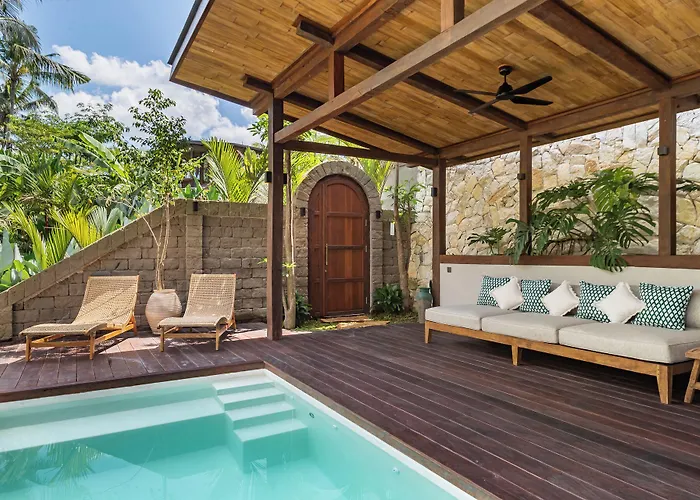 Casa Pohon