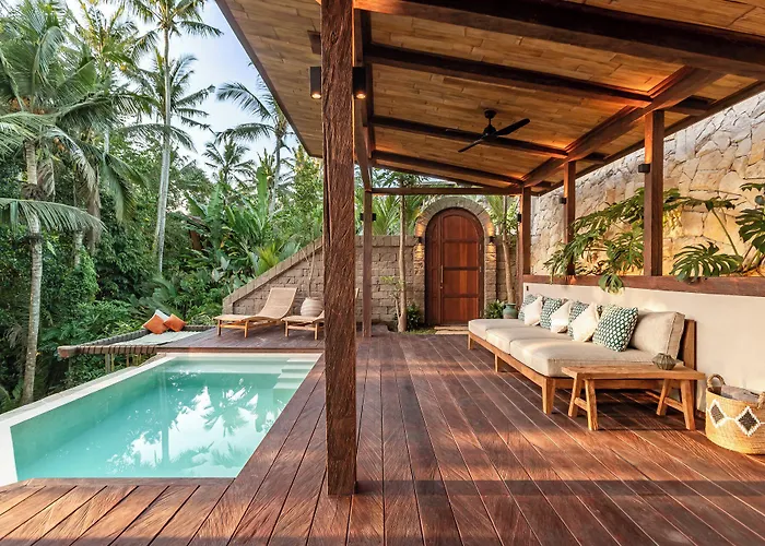 Casa Pohon