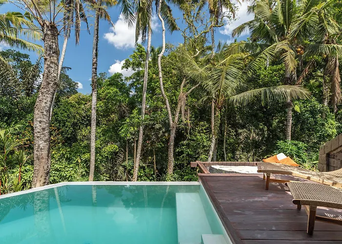 Casa Pohon Villa