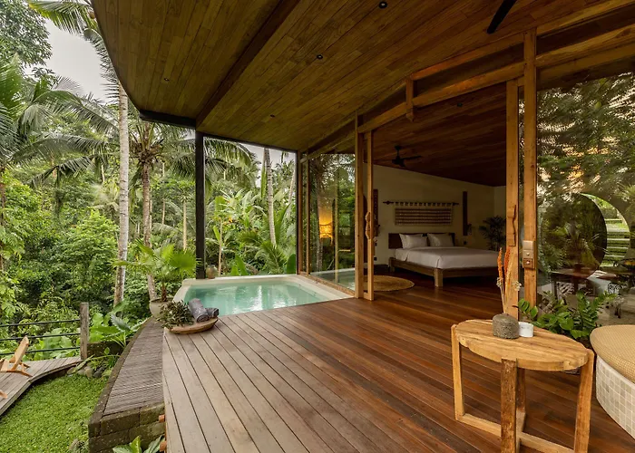 Casa Pohon