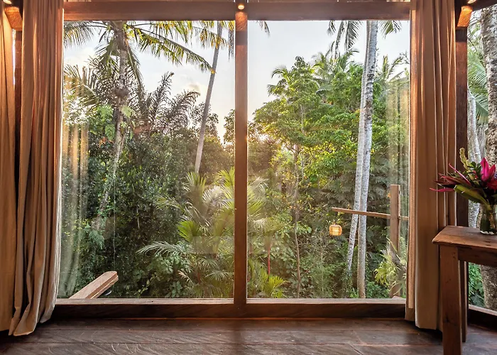 Casa Pohon